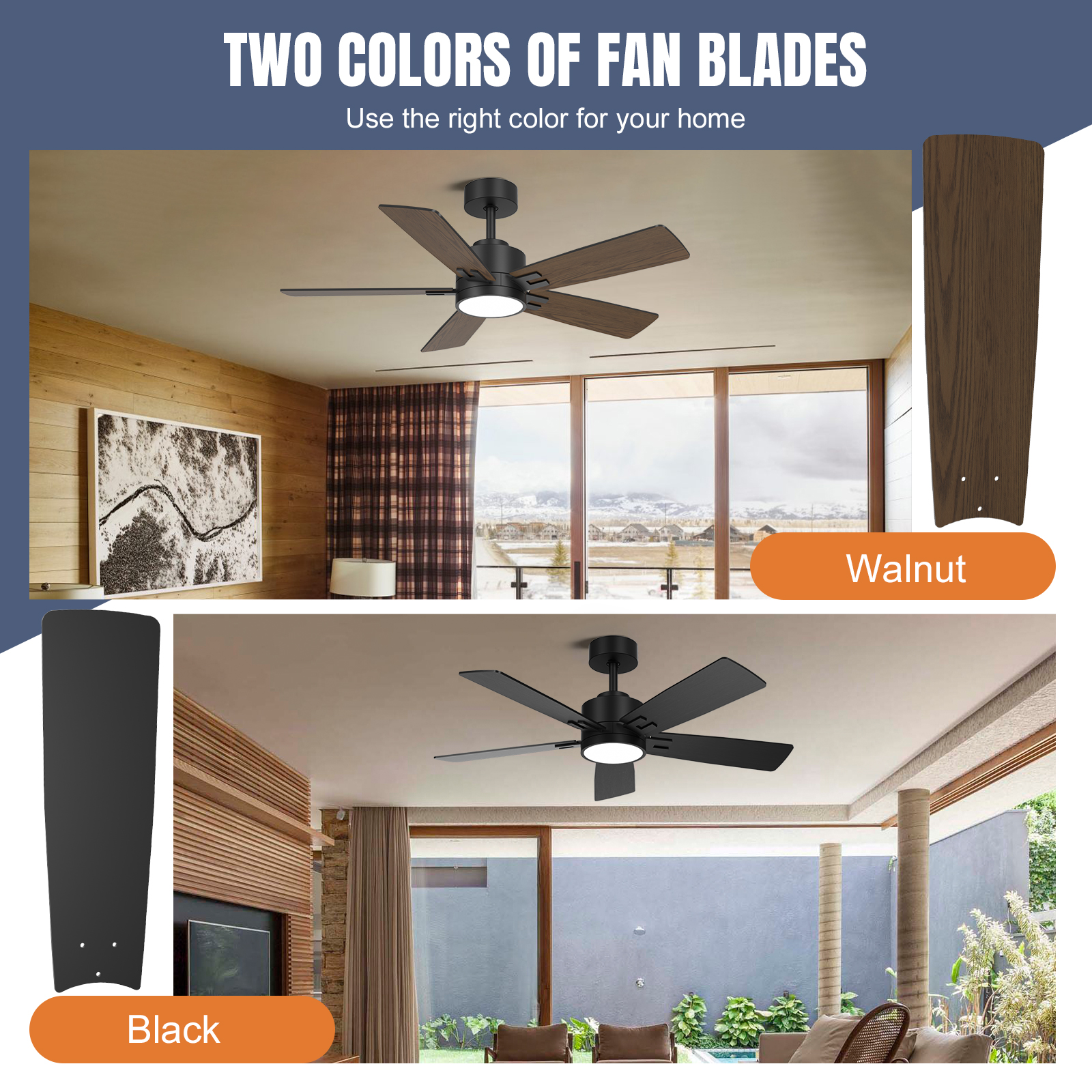 สีดำ + สีวอลนัท