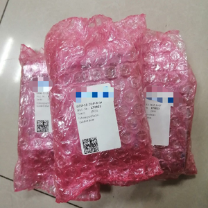 Bir Yeni Dfm-12-20-<span class=keywords><strong>p</strong></span>-a-wbrgf 170825 Silindir Hızlı Kargo - Product Image 1