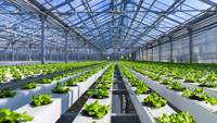 Système hydroponique multi-voûtes en PVC NFT pour la culture de légumes, grande capacité d'économie d'eau, vente en gros