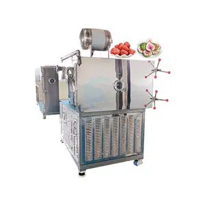 Liofilizador comercial de tamaño pequeño, máquina de secado al vacío de 50 grados, carga de 50kg, para café, Nido de Pájaro, Baya, China
