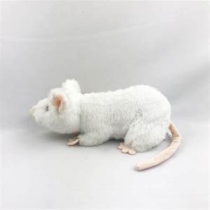 Regalo especial kawaii 5 pulgadas ratón animal stugged juguete suave - Product Image 5