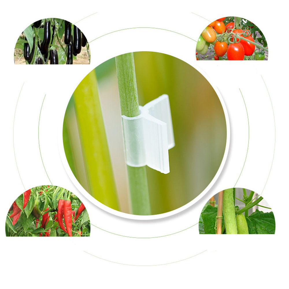 Прививочные зажимы DIHAO для садоводства, фруктов, томатов, растений, винограда, пластиковые зажимы для рассады, инструмент, зажимы для прививки, Новое поступление 2020