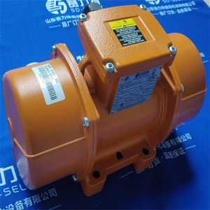 Italvibras <b>Vibration</b> Motor MVSI 10/310E-S02 Industrial Control Spare Parts General Use - Product Image 3