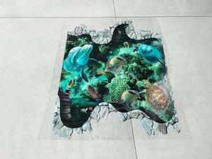 Cuộn Phim Ép Lạnh PVC Chéo, Biển Hiệu Cảnh Báo Sàn Ướt, Phim Vinyl Bảo Vệ Đồ Họa/Áp Phích - Product Image 4