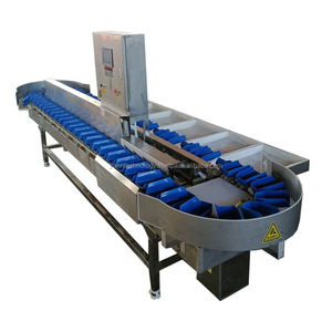 Máquina clasificadora de pescado vegetal cereza Camarón maracuyá equipo de clasificación carne pollo ostras máquina automática de peso - Product Image 4