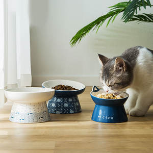 BESTCERA Diretamente Bonito Cerâmica Pet Alimentador Standup Gato Elevado Tigelas De Cerâmica Pequeno Cão Levantado Comida Gato Água Tigela Inclinada - Product Image 3