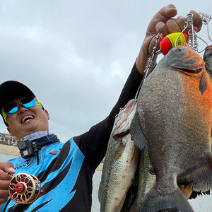 HISTAR – roue entièrement en métal, régulation télescopique épaisse, haute résistance, accessoires d'outil, boucle <span class=keywords><strong>de</strong></span> verrouillage <span class=keywords><strong>de</strong></span> poisson à ressort - Product Image 5