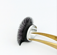 Extensions de Cils Easy Fan Premium, Cheveux Synthétiques PBT Coréens, Effet Naturel et Long
