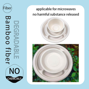 Platos desechables ecológicos 100% compostables de fibra de bambú redonda de 9 pulgadas para picnics, barbacoas y fiestas - Product Image 4