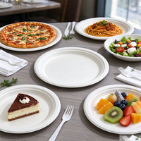 Assiette ronde en bagasse de canne à sucre compostable, assiette blanche jetable biodégradable, assiette de dîner résistante et utilisable au micro-ondes