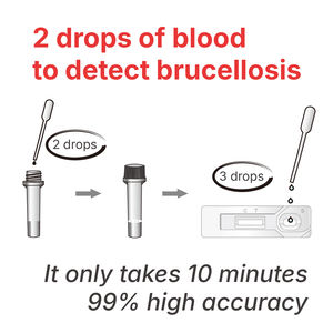 Veterinária bovino brucella anticorpo Ab teste rápido kit cartão tira para bovinos vaca ovinos cabra detecção brucelose bovina teste - Product Image 3