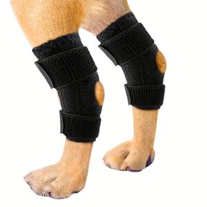 Attelle de Genou pour Chien, Protection des Ligaments ACL, Soutien à la Rééducation, Haute Élasticité, Anti-Collision, en Fibre - Product Image 1