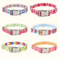 Animal Chien Chat Accessoires Grossiste Luxe Réglable Boucle Métallique Nylon Teckel Bouledogue Français Chat Chien Collier