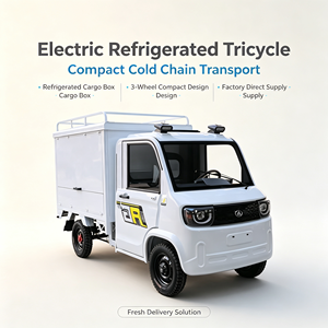 Veicolo Elettrico a 4 Ruote ad Alta Efficienza, Autonomia 100km e Velocità 40km/h, Mini Camion Refrigerato Elettrico a 2 Posti - Product Image 5