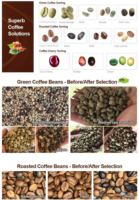 Trieuse optique de couleurs pour grains de café, sélecteur/gradeur de couleur pour café brut