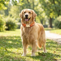 Ensemble collier et laisse pour chien à motif festif avec porte-sac à déjections, kit de promenade réglable pour animaux de compagnie pour toutes les races de chiens, personnalisable OEM/ODM