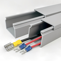 Canalización de Cables WBO 5060 de PVC, Precio Atractivo, Canalización de Cables Ignífuga para la Industria