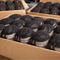 Prothèse capillaire tressée complète en dentelle pour hommes, système capillaire en cheveux naturels pour dreadlocks et tresses africaines, pour hommes noirs, vente en gros