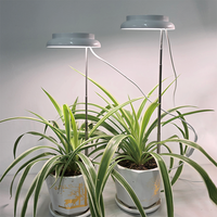 Lampe de culture LED à spectre complet IP54 pour plantes hydroponiques avec fonction minuterie, prise US/EU