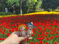 100% Original Sonny Angels Flower Series Blind Box Figurine Mignonne Produit Populaire Décoration de Bureau Jouet de Collection Cadeau