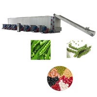 Vente directe usine – Séchoir alimentaire automatique à bande en maille d'acier inoxydable pour usage commercial, pompe incluse, 200-1000 kg/h