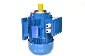 มอเตอร์เหนี่ยวนำสามเฟส Hongma HM2-200L-4 ขนาด 30 กิโลวัตต์ 40 แรงม้า 1500 รอบต่อนาที แรงดันไฟฟ้า 220 โวลต์ AC 50 เฮิรตซ์ ระดับการป้องกัน IP54/IP55 ประสิทธิภาพ IE2 ระบบระบายความร้อน IC411 - Product Image 3