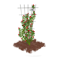 Support de plantes grimpantes pour jardin, piquets de tomates, treillis en acier revêtu de PVC