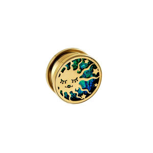 Großhandel Edelstahl Ohr Tunnel Muschel form Ohrring Expander Schraube zurück Stecker Kranken tragen Punk <span class=keywords><strong>Body</strong></span> <span class=keywords><strong>Piercing</strong></span> Partys - Product Image 4