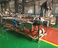 Machine de pasteurisation automatique à tunnel de vapeur pour aliments