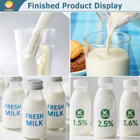 Ligne de production de lait pasteurisé de petite capacité de réservoir d'homogénéisateur de pasteurisateur d'acier inoxydable d'ORME