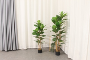 ต้นไวโอลินพลาสติก JWS3935 ใบเต็ม ต้นไม้ประดิษฐ์รักษ์โลก คุณภาพสูง ตกแต่งภูมิทัศน์ ขนาดปรับแต่งได้ สำหรับ<span class=keywords><strong>บ้าน</strong></span> สำนักงาน ภายในและภายนอกอาคาร - Product Image 4