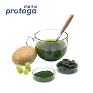 Protoga Good Price Customized Healthy Organic Natural Chlorella Pyrenoidosa Powder Wholesale