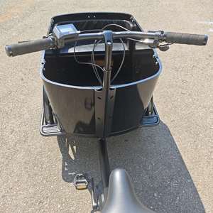 Vélo cargo électrique pour adultes et famille pour transporter des marchandises pour enfants et animaux de compagnie pour faire du shopping, pique-nique, pêche, voyage et autres activités de plein air - Product Image 5