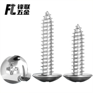 Tornillos Autorroscantes de Cabeza Plana Phillips de Acero Inoxidable 304 Fenglian, Cabeza Plana Grande, Grado Industrial A - Product Image 4