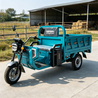 Tricycle utilitaire électrique pliable à trois roues avec cabine et benne basculante pour l'agriculture, capacité 500 kg, OEM