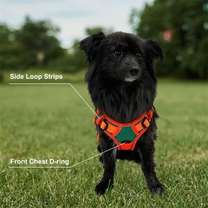 Muestra gratuita: Chaleco táctico reflectante de alta resistencia para perros, de varios tamaños, para entrenamiento, venta al por mayor. - Product Image 2