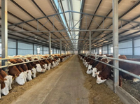 Bâtiment préfabriqué en structure d'acier, maison préfabriquée, hangar agricole, grange pour bétail, moutons, animaux d'élevage, écurie pour chevaux