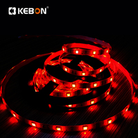 Bande Lumineuse LED Flexible 5050 Intelligente d'Extérieur DC12V RGB Étanchéité IP65, avec Adaptateur et Contrôleur Amovible