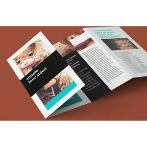 Folleto plegable, merchandising personalizado - Product Image 1