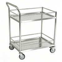 Chariot d'hôpital en acier inoxydable, chariot de service utilitaire à 2 niveaux, chariot à 201 étagères perforées, capacité de charge de 180 kg pour hôpital