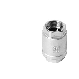 Cnjs Thép Không Gỉ 304 Npt Bsp Một Cách Không Trở Lại H12 Kiểm Tra Van Chủ Đề Mùa Xuân Tải Dọc Kiểm Tra Van - Product Image 5