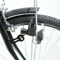 Vélo de ville élégant et classique à cadre en acier avec porte-bagages arrière, design à cadre bas, monovitesse, confortable pour les trajets urbains des adultes