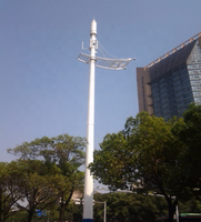 Mât d'antenne décoratif de station de base de style paysager pour télécommunications