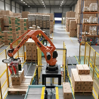 Robot de palettisation robuste STEP SP180/3200 180 kg pour l'empilage de sacs, la palettisation de cartons et la manutention de matériaux en entrepôt
