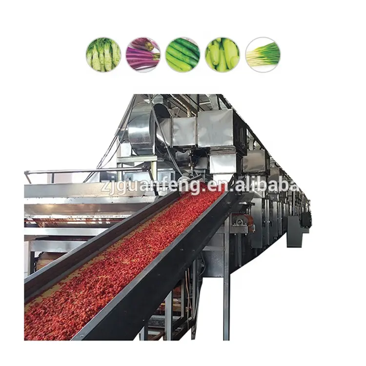 Customized green pepper fruits dehydrator drying machine vegetable dehydration line processing equipment