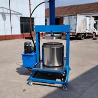 Elektrische hydraulische automatische koudpers sapcentrifuge, nieuwstaat - voor het verwerken van groenten, citroenen, fruit, wijn, kersen