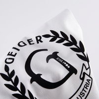 Étiquettes thermocollantes avec logo pour vêtements, étiquettes en tissu PET TPU avec DTF pour la marque de vêtements de mode