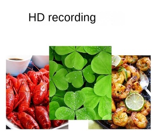 100% testé caméra arrière pour <span class=keywords><strong>iPhone</strong></span> 7 7Plus <span class=keywords><strong>8</strong></span> 8Plus SE2 caméra arrière objectif principal arrière câble flexible caméra - Product Image 3