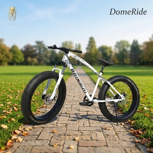 Usine en gros grand 4.0 pneu à vitesse Variable ZXC VTT ATV avec fourche en acier motoneige <span class=keywords><strong>voiture</strong></span> Absorption des chocs - Product Image 1