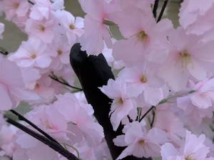 Arbre artificiel de <span class=keywords><strong>cerisier</strong></span> vert sur pied en plastique, pot de fleurs <span class=keywords><strong>d</strong></span>écoratif <span class=keywords><strong>d</strong></span>'<span class=keywords><strong>intérieur</strong></span>, bonsaï pour la maison, le bureau ou l'hôtel - Product Image 2